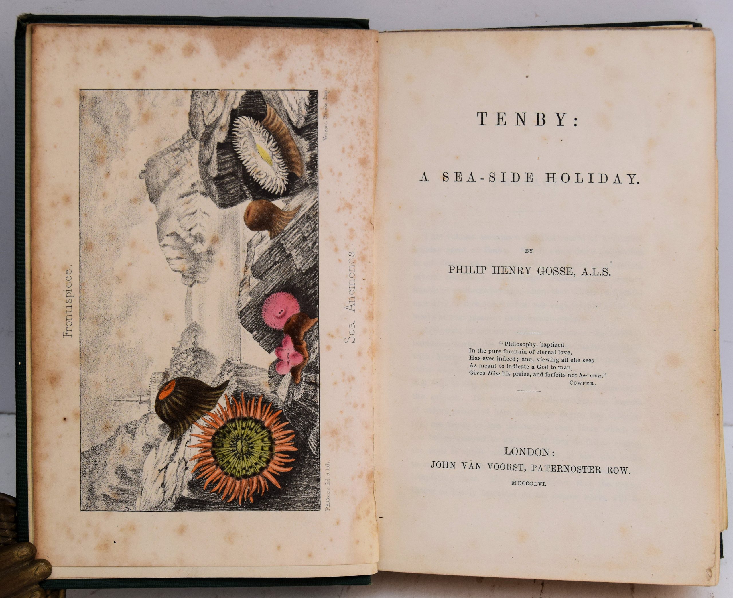 TENBY: A SEA-SIDE HOLIDAY. - Image 2