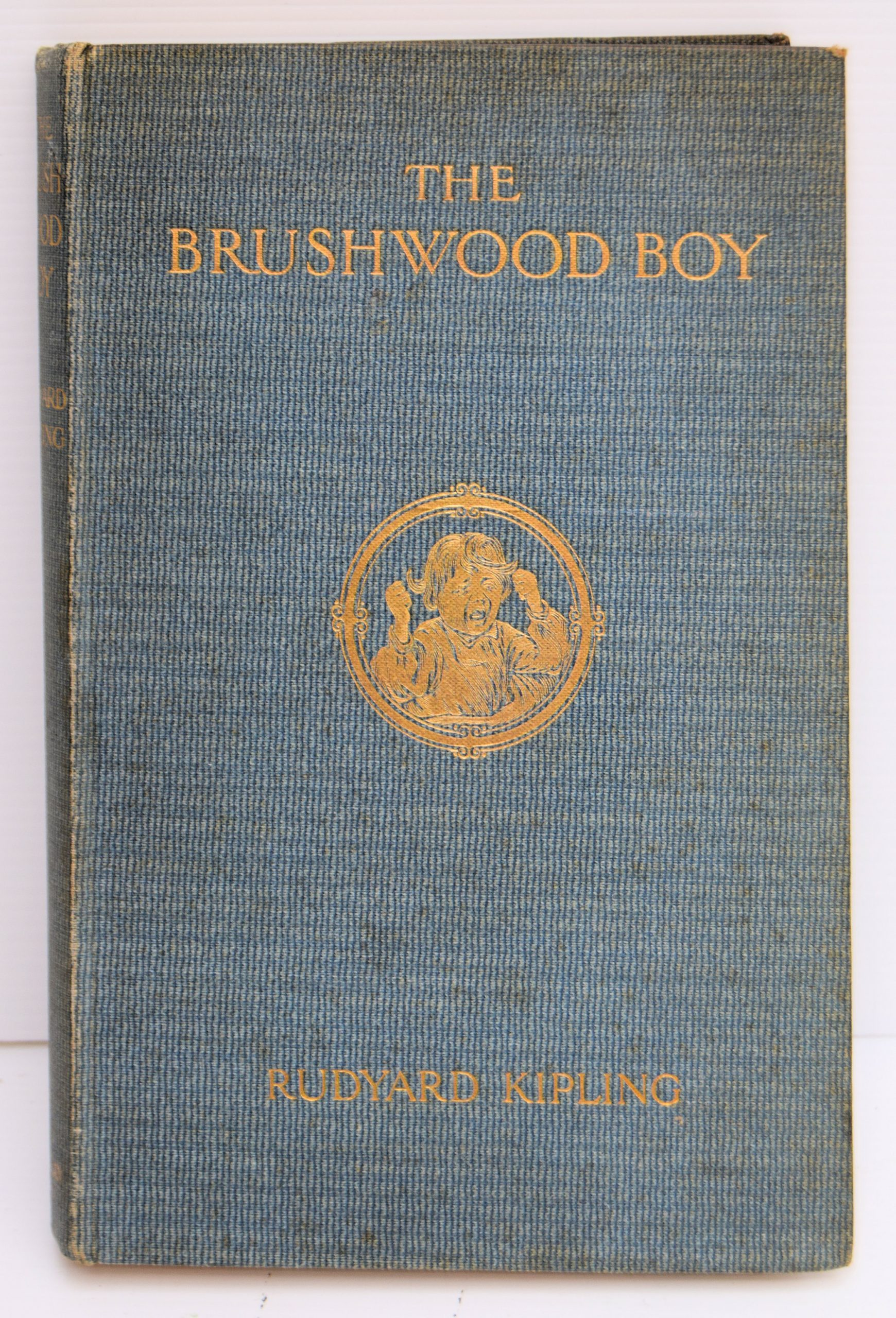 THE BRUSHWOOD BOY.
