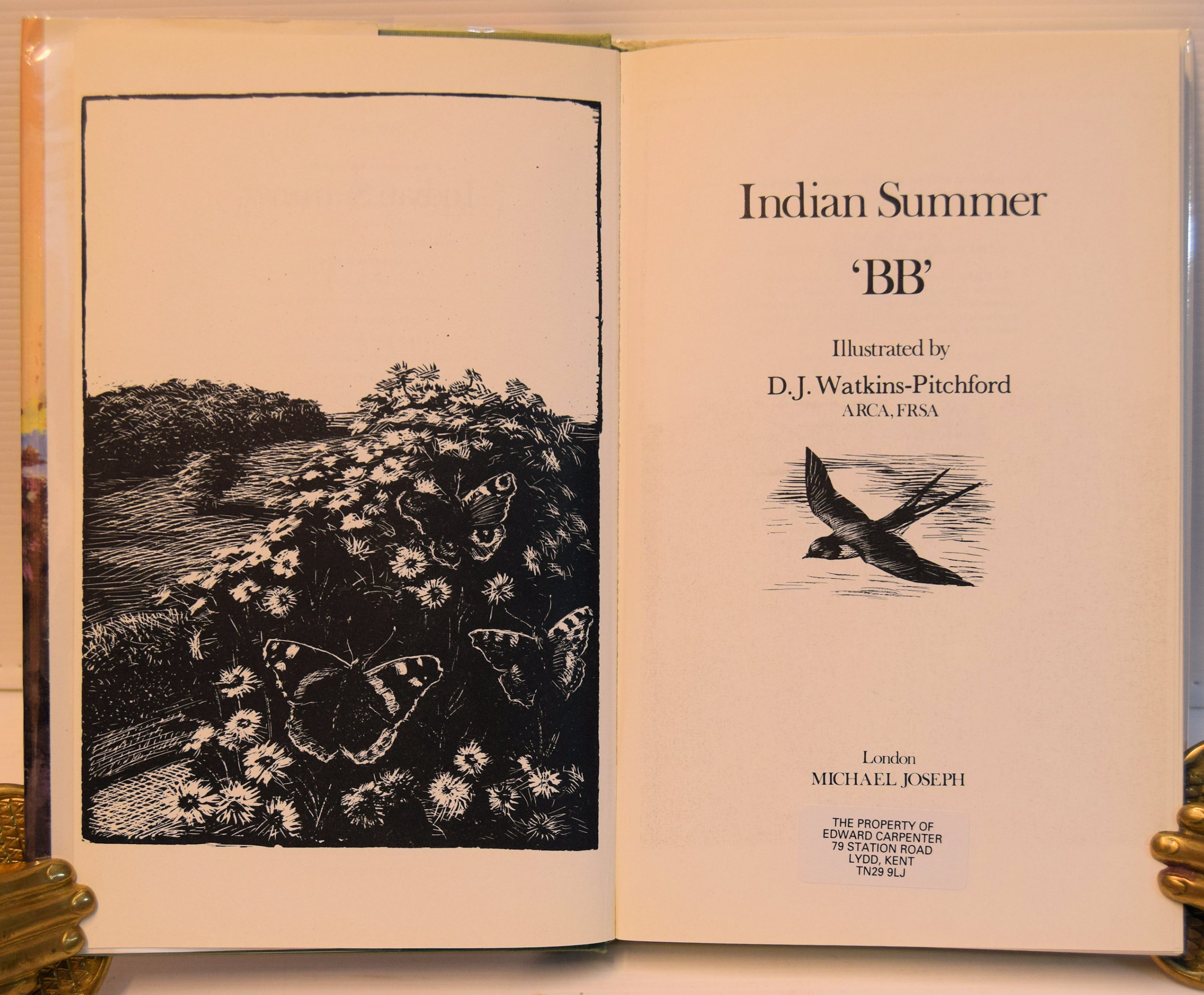 INDIAN SUMMER. - Image 2