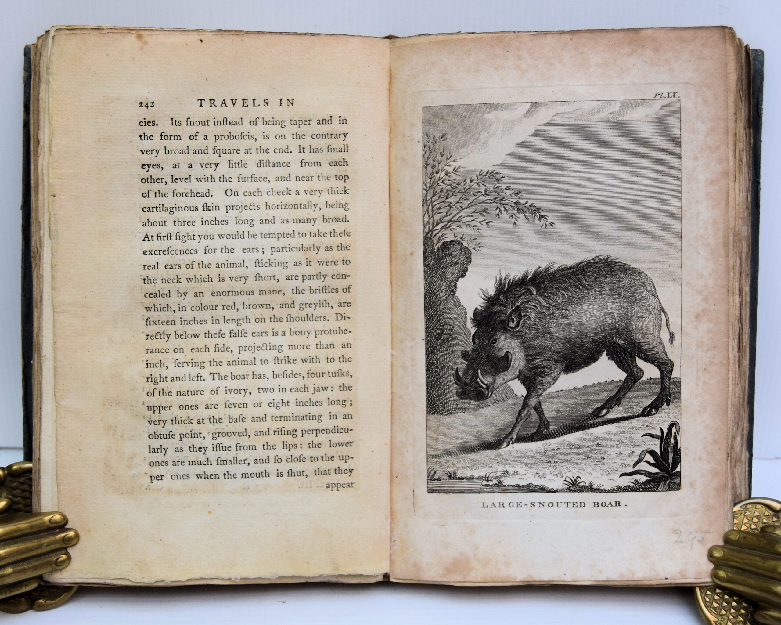 NEW TRAVELS INTO THE INTERIOR PARTS OF AFRICA - Image 2