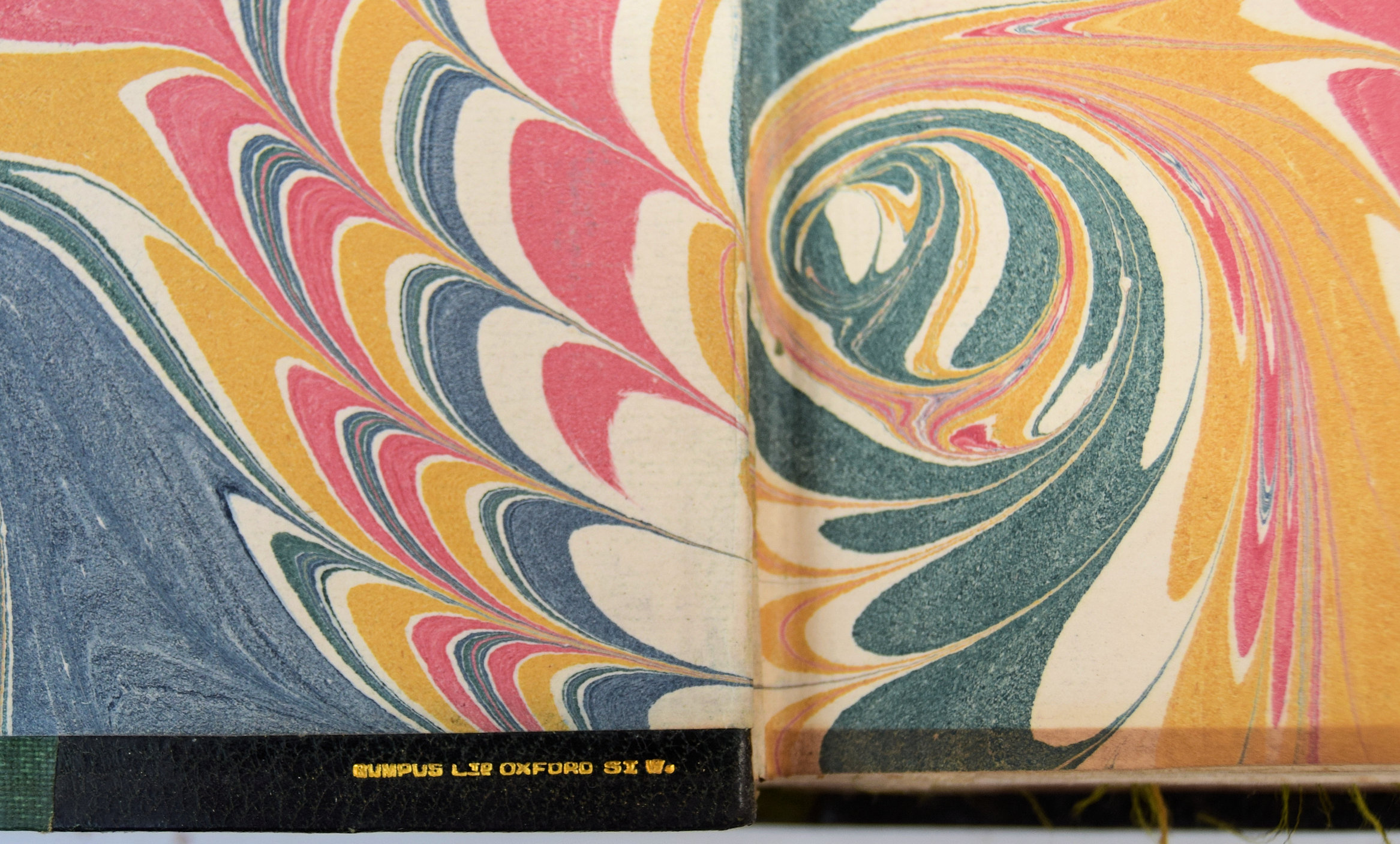 Coloured figures of the birds of the British Islands - Image 2