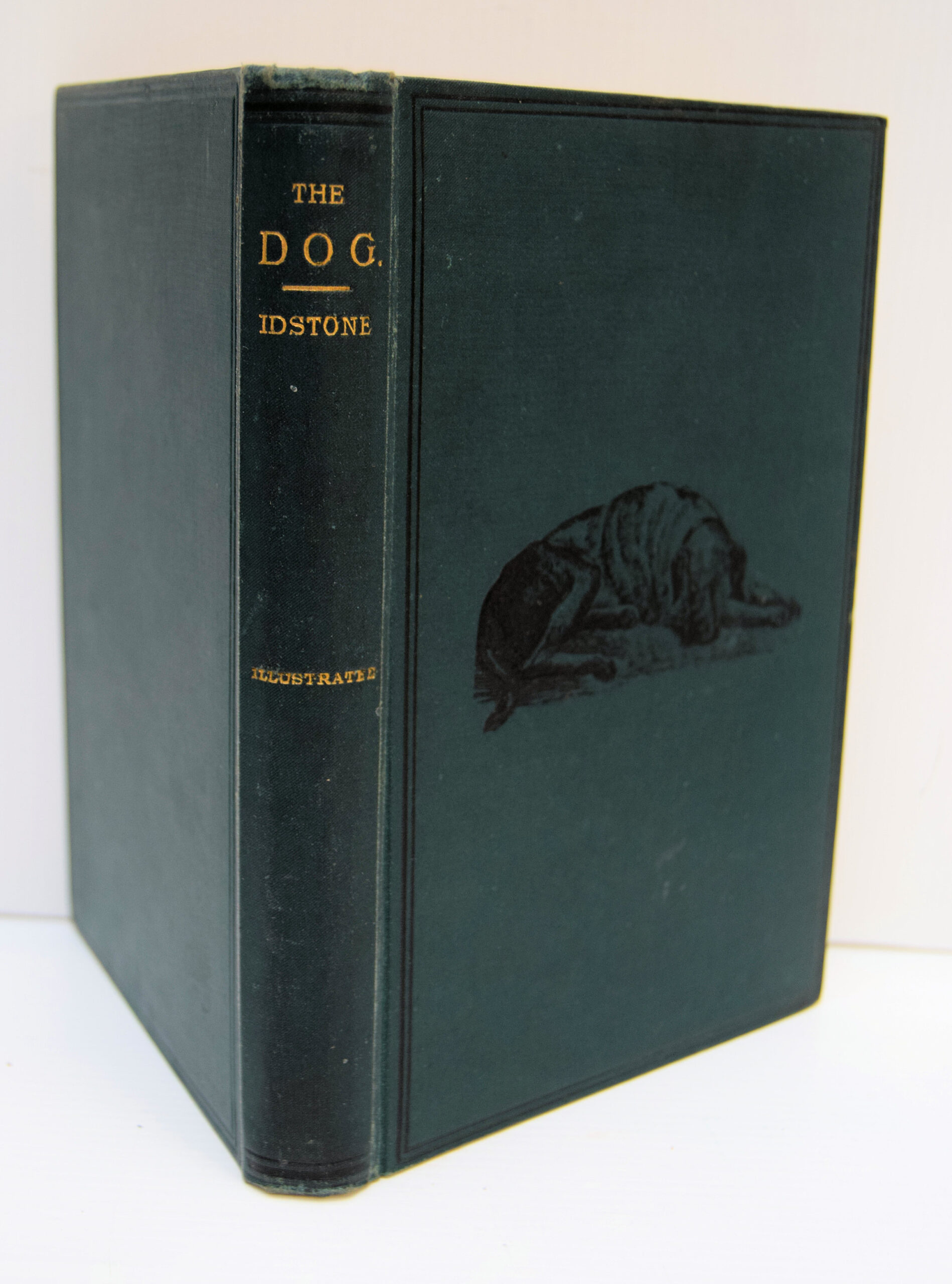 THE DOG;