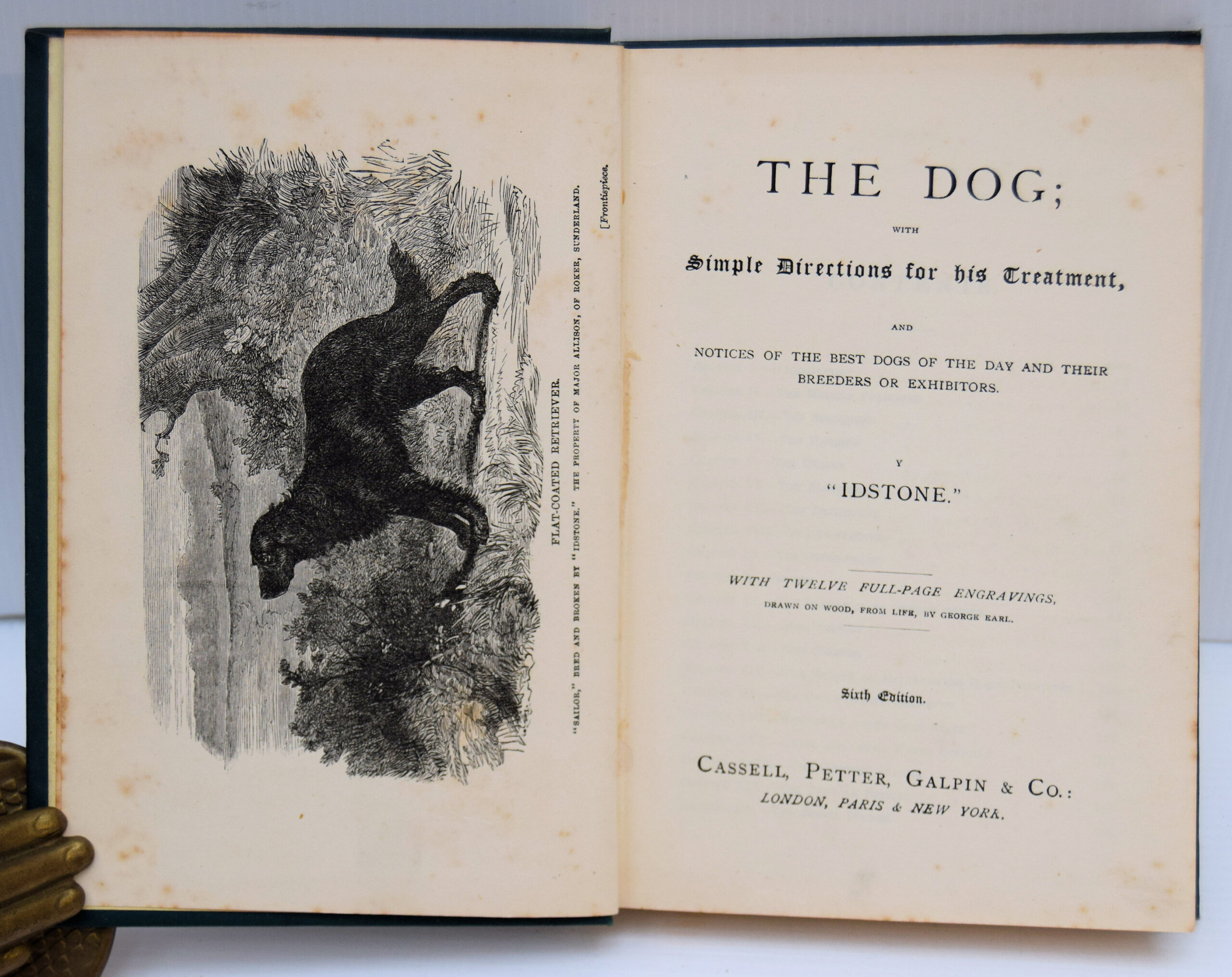 THE DOG; - Image 2