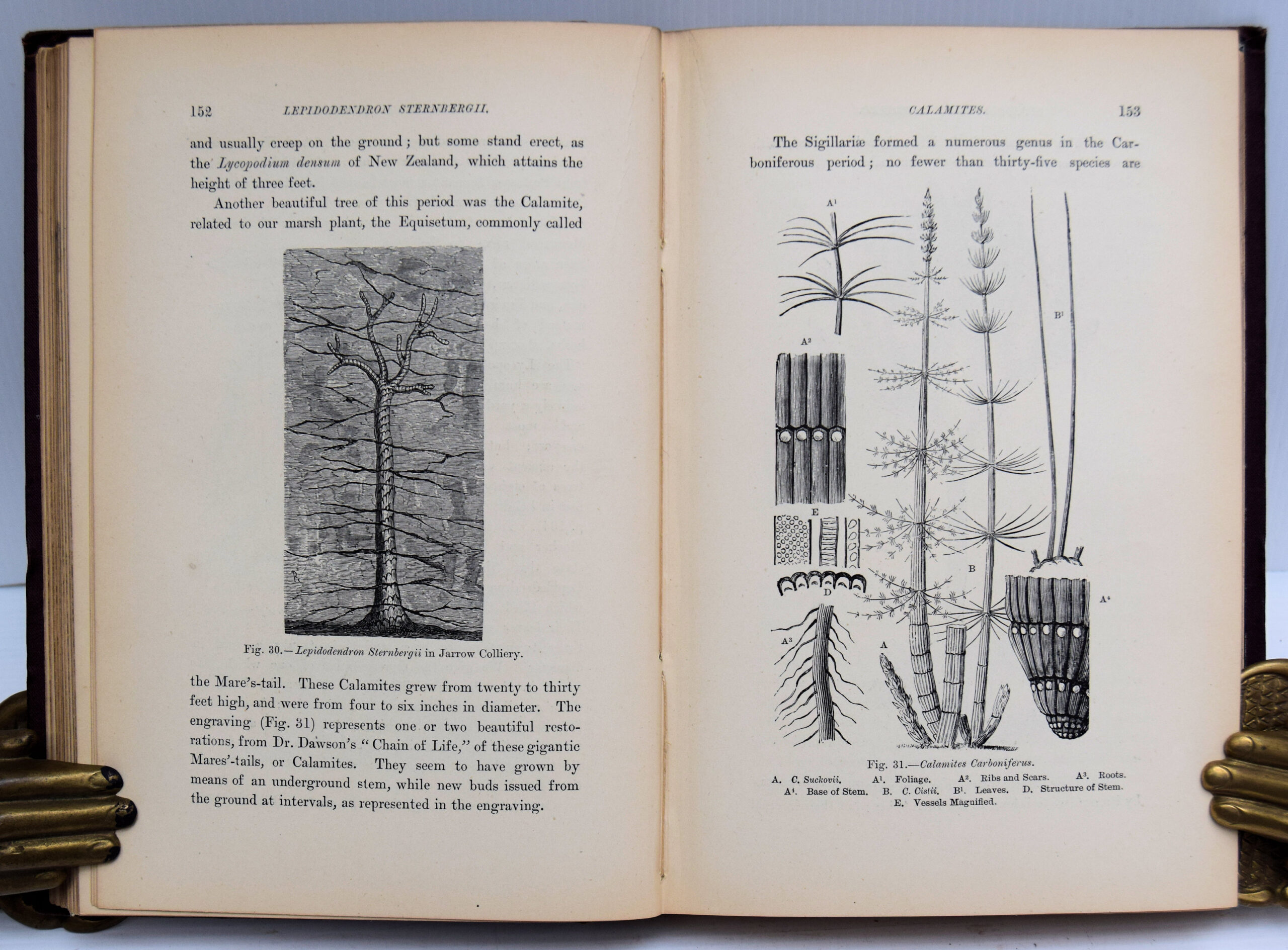 MOSES AND GEOLOGY; OR THE HARMONY OF THE BIBLE WITH SCIENCE - Image 4