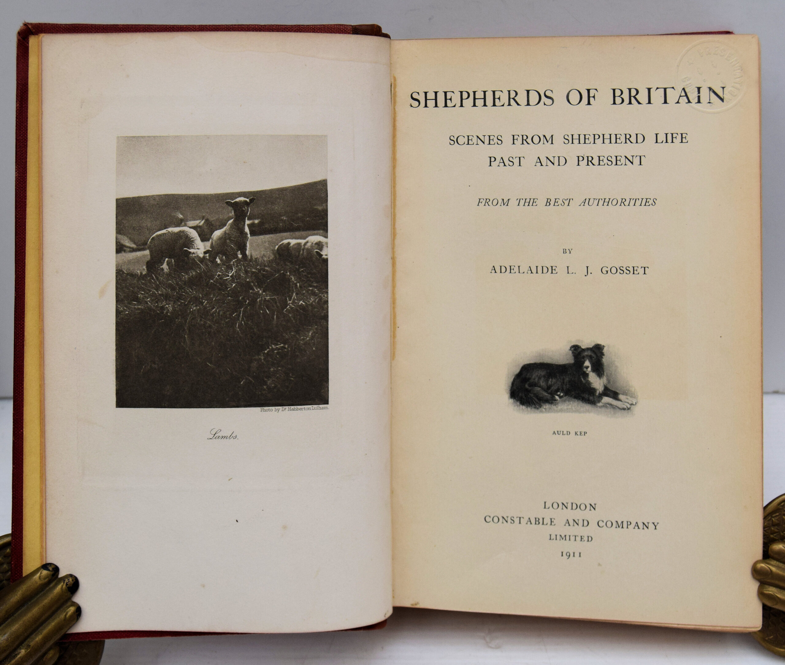 SHEPHERDS OF BRITAIN. SCENES FROM SHEPHERD LIFE PAST AND PRESENT. - Image 2