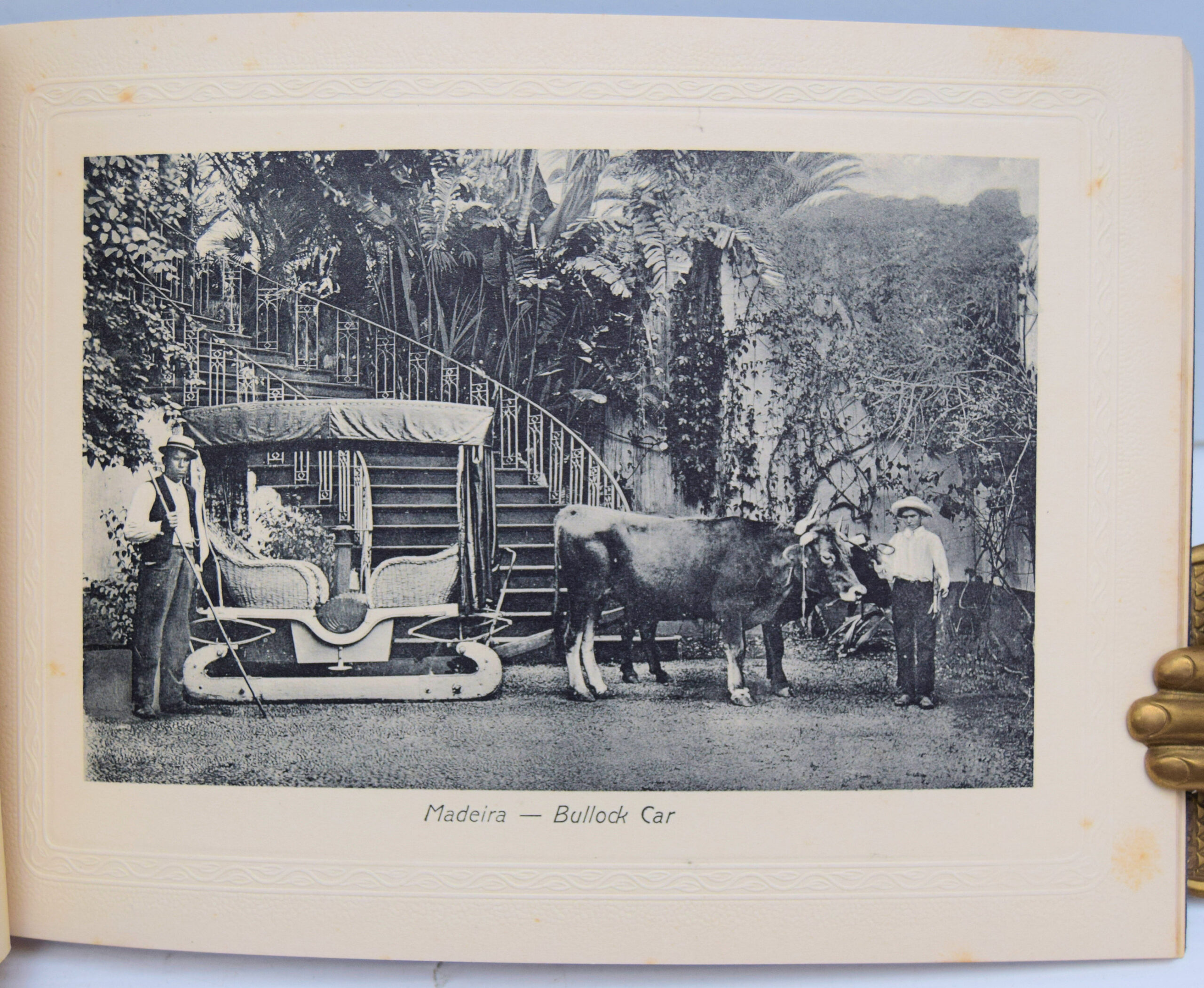 SOUVENIR OF MADEIRA. - Image 3