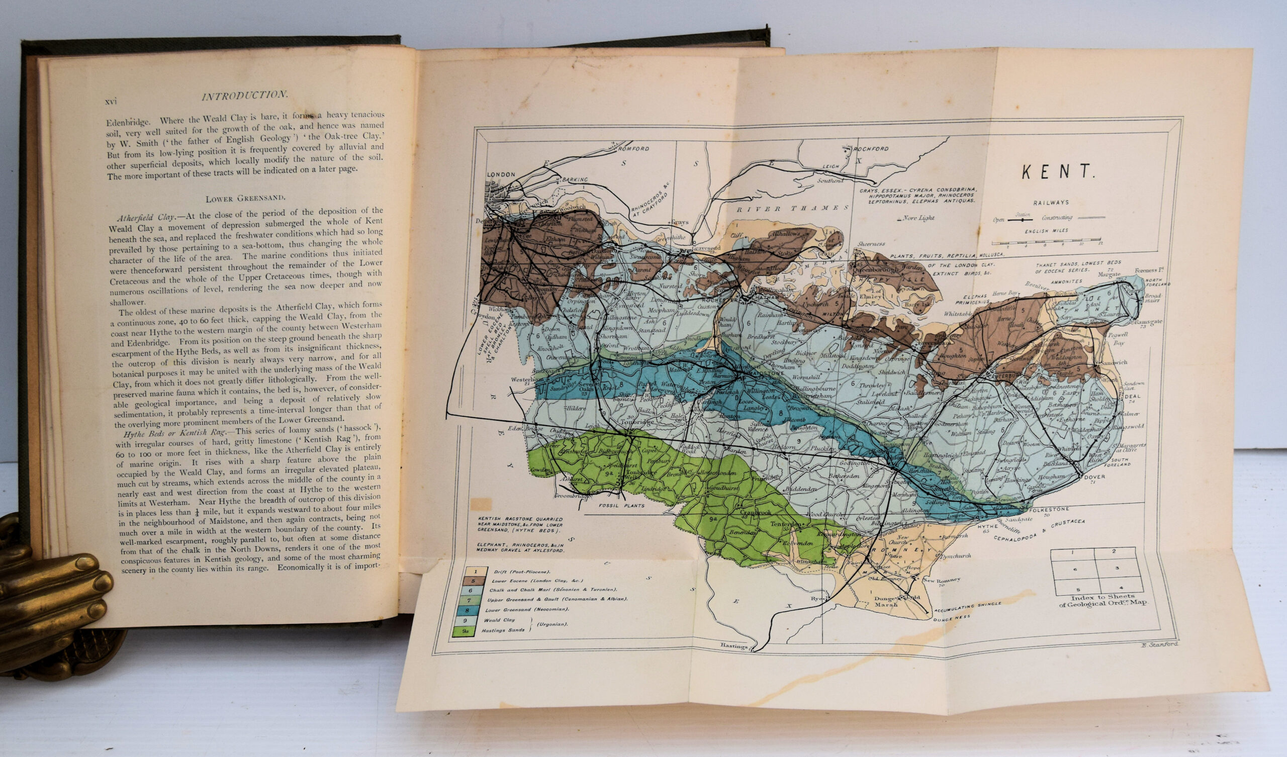 FLORA OF KENT BEING AN ACCOUNT OF THE FLOWERING PLANTS, FERNS, Etc., WITH NOTES ON THE TOPOGRAPHY, GEOLOGY, AND METEOROLOGY, AND A HISTORY OF THE BOTANICAL INVESTIGATION OF THE COUNTY. - Image 3